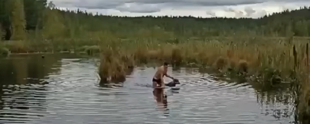В Карелии мужчина нырнул в озеро, чтобы помочь тонувшей слепой собаке